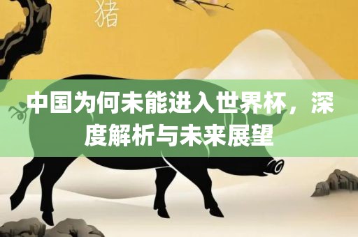 中国为何未能进入世界杯，深度解析与未来展望