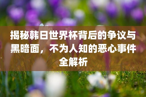 揭秘韩日世界杯背后的争议与黑暗面，不为人知的恶心事件全解析广西贺州市华昌新材料有限公司