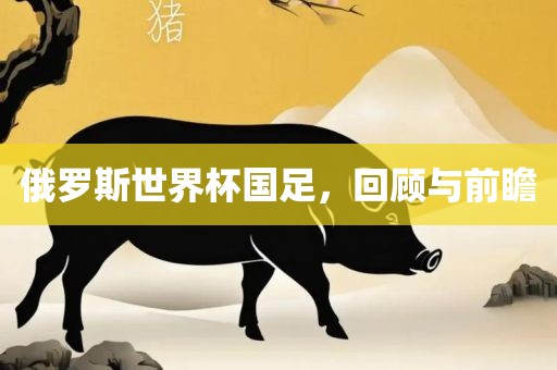 俄罗斯世界杯国足，回顾与前瞻广西贺州市华昌新材料有限公司