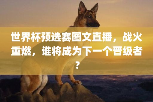 世界杯预选赛图文直播，战火重燃，谁将成为下一个晋级者？广西贺州市华昌新材料有限公司