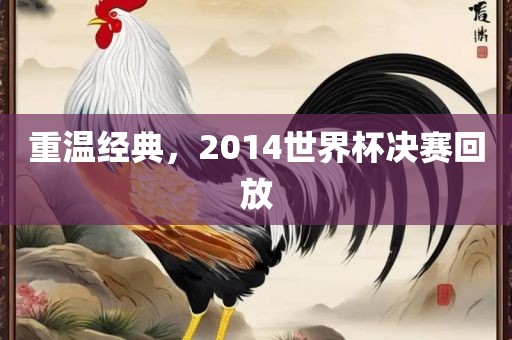 重温经典，2014世界杯决赛回放