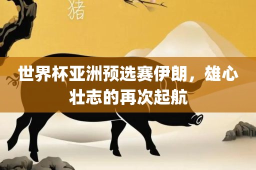 世界杯亚洲预选赛伊朗，雄心壮志的再次起航