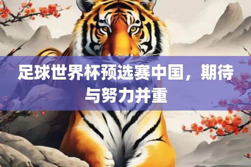 足球世界杯预选赛中国，期待与努力并重