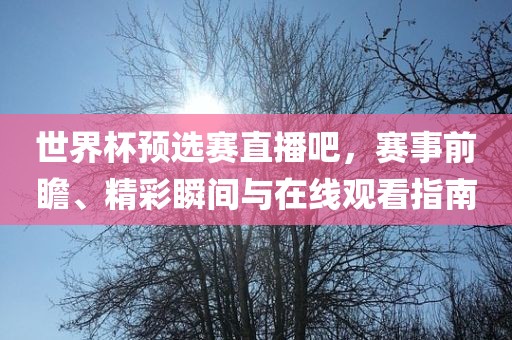 世界杯预选赛直播吧，赛事前瞻、精彩瞬间与在线观看指南广西贺州市华昌新材料有限公司