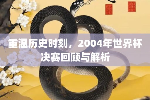 重温历史时刻，2004年世界杯决赛回顾与解析广西贺州市华昌新材料有限公司