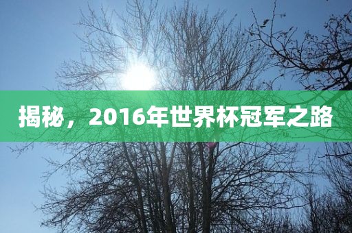揭秘，2016年世界杯冠军之路