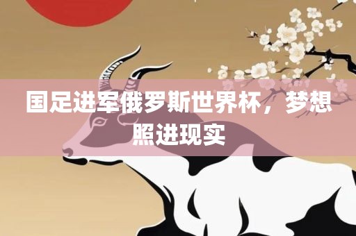 国足进军俄罗斯世界杯，梦想照进现实广西贺州市华昌新材料有限公司