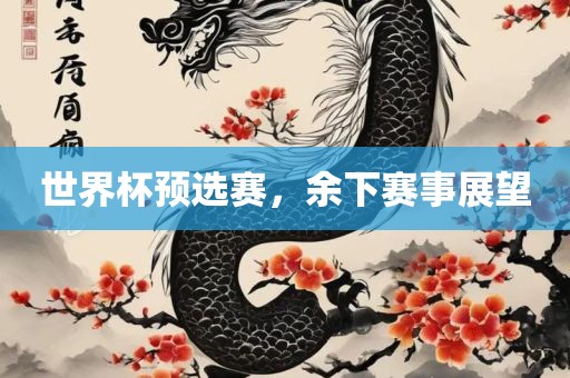 世界杯预选赛，余下赛事展广西贺州市华昌新材料有限公司望
