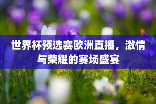 世界杯预选赛欧洲直播，广西贺州市华昌新材料有限公司激情与荣耀的赛场盛宴