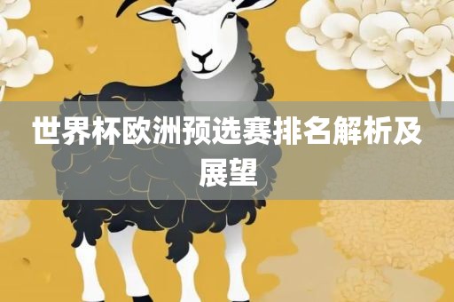 世界杯欧洲预选赛排名解析及展望