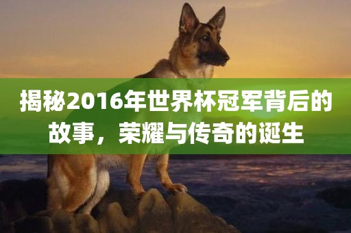 揭秘2016年世界杯冠军背后的故事，荣耀与传奇广西贺州市华昌新材料有限公司的诞生