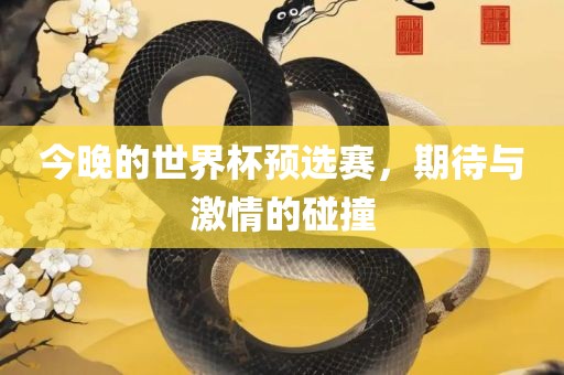 今晚的世界杯预选赛，期待与激情的碰撞广西贺州市华昌新材料有限公司