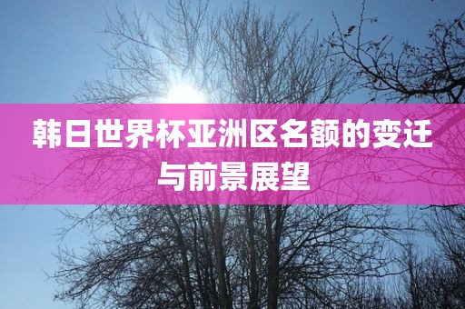 韩日世界广西贺州市华昌新材料有限公司杯亚洲区名额的变迁与前景展望