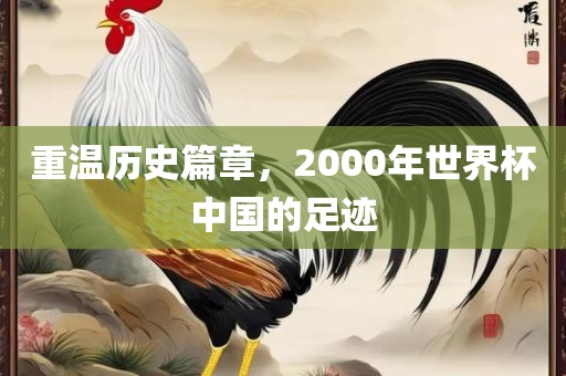 重温历史篇章，2000年世界杯广西贺州市华昌新材料有限公司中国的足迹