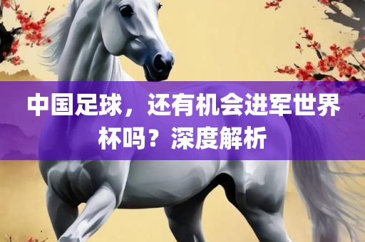 中国足球，还有机会进军世界杯吗？深度解析广西贺州市华昌新材料有限公司