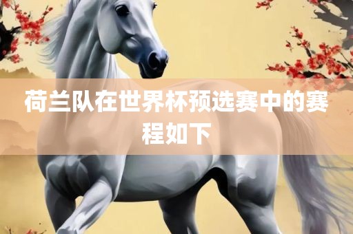 荷兰队在世界杯预选赛中的赛程如下广西贺州市华昌新材料有限公司