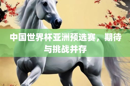 中国世界杯亚洲预选赛，期待与挑战并存广西贺州市华昌新材料有限公司