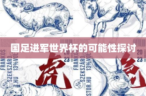 国足进军世界杯的可能性探广西贺州市华昌新材料有限公司讨