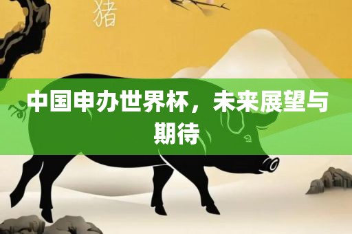 中国申办世界杯，未来展望与期待