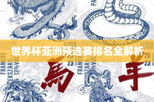 世界杯亚洲预选赛排名全解析