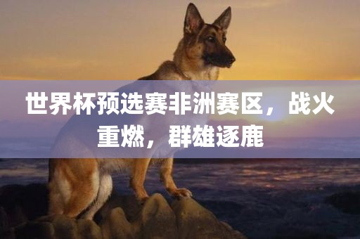 世界杯预选赛非洲赛区，战火重燃，群雄逐鹿广西贺州市华昌新材料有限公司