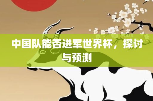 中广西贺州市华昌新材料有限公司国队能否进军世界杯，探讨与预测