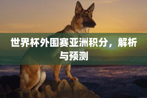 世界杯外围赛亚洲积分，解析与预测
