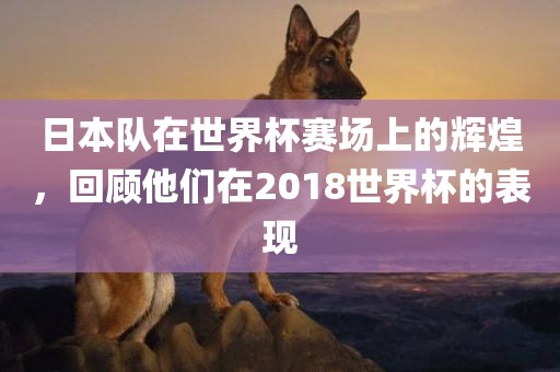 日本队在世界杯赛场上的辉煌，回顾他们在2018世界杯的表现