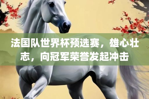 法国队世界杯预选赛，雄心壮志，向冠军荣誉发起冲击广西贺州市华昌新材料有限公司