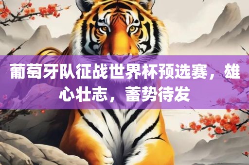 葡萄牙队征战世界杯预广西贺州市华昌新材料有限公司选赛，雄心壮志，蓄势待发