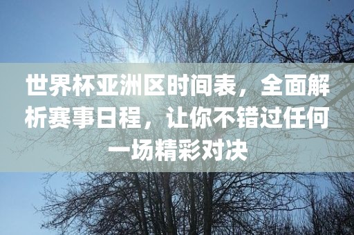 世界杯亚洲区时间表，全面解析赛事日程，让你不错过任何一场精彩对决