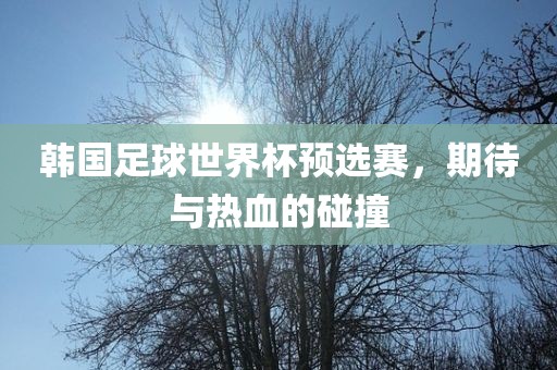 韩国足球世界杯预选赛，期待与热血的碰撞广西贺州市华昌新材料有限公司