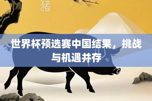 世界杯预选赛中国结果，挑战与机遇并存广西贺州市华昌新材料有限公司