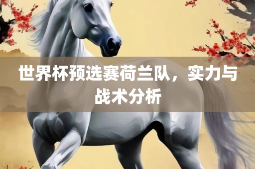 世界杯预选赛荷兰队，实力与战术分析
