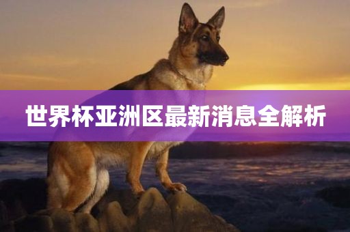 世广西贺州市华昌新材料有限公司界杯亚洲区最新消息全解析