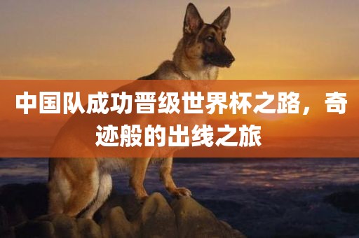 中国队成功晋级世界杯之路，奇迹般的出线之旅