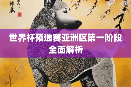 世界杯预选赛亚洲区第一阶段全面解析