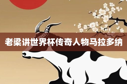 老梁讲世界杯传奇人物马拉多纳广西贺州市华昌新材料有限公司