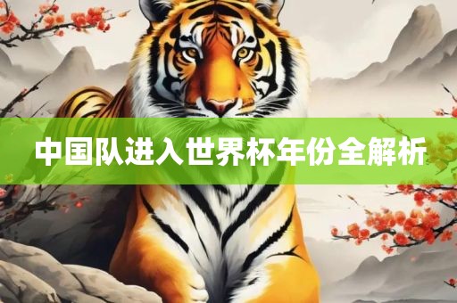 中国队进入世界杯年份全解析