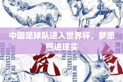 中国足球队进入世界杯，梦想照进现实