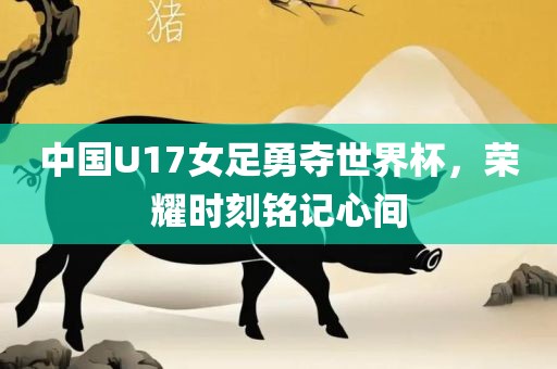 中国U17女足勇夺世界杯，荣耀时刻铭记心间广西贺州市华昌新材料有限公司