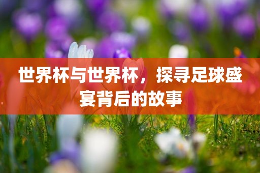 世界杯广西贺州市华昌新材料有限公司与世界杯，探寻足球盛宴背后的故事