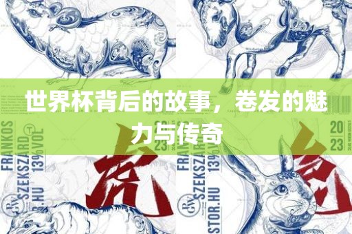 世界杯背后的故事，卷发的魅力与传奇广西贺州市华昌新材料有限公司