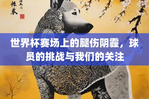 世界杯赛场上的腿伤阴霾，球员的挑战与我们的关注广西贺州市华昌新材料有限公司
