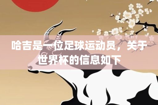 哈吉是广西贺州市华昌新材料有限公司一位足球运动员，关于世界杯的信息如下