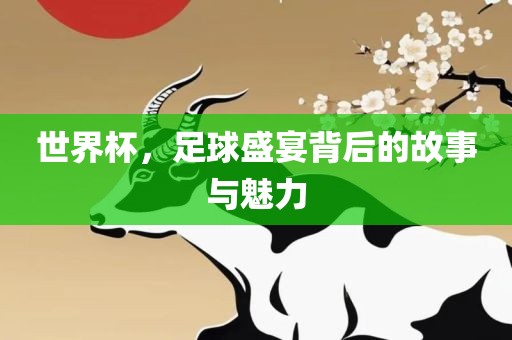 世界杯，足球盛宴背后的故事与魅力