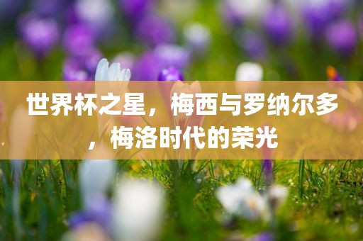 世界杯之星，梅西与罗纳尔多，梅洛时代的荣光