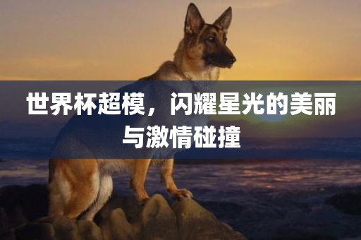 世界杯超模，闪耀星光的美丽与激情碰撞广西贺州市华昌新材料有限公司