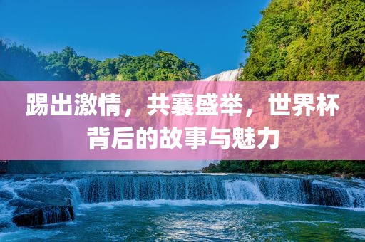 踢出激情，共襄盛举，世界杯背后的故事与魅力