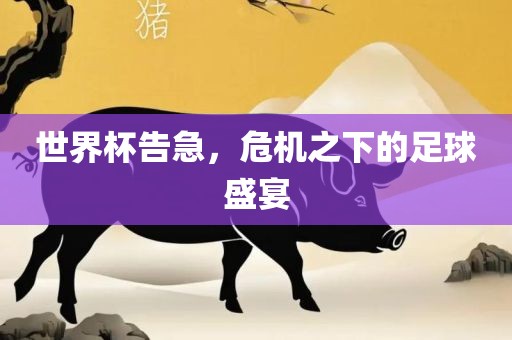 世广西贺州市华昌新材料有限公司界杯告急，危机之下的足球盛宴